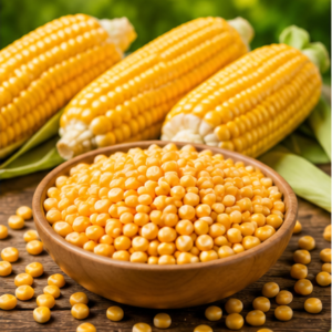 yellow-corn