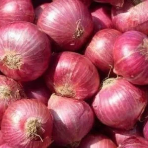 onion